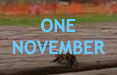 One November